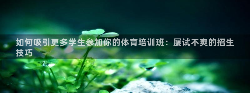 欧陆娱乐挂机怎么玩：如何吸引更多学生参加你的体育培训