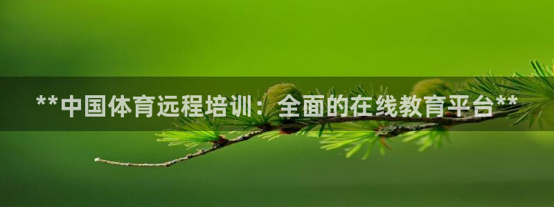 欧陆娱乐共创美好时刻：**中国体育远程培训：全面的在