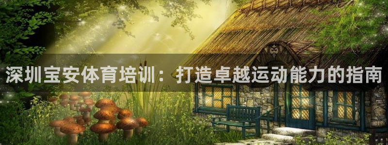 欧陆娱乐怎么注册帐号登录：深圳宝安体育培训：打造卓越
