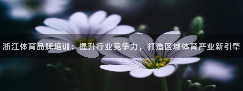 欧陆娱乐计划预测软件下载：浙江体育品牌培训：提升行业
