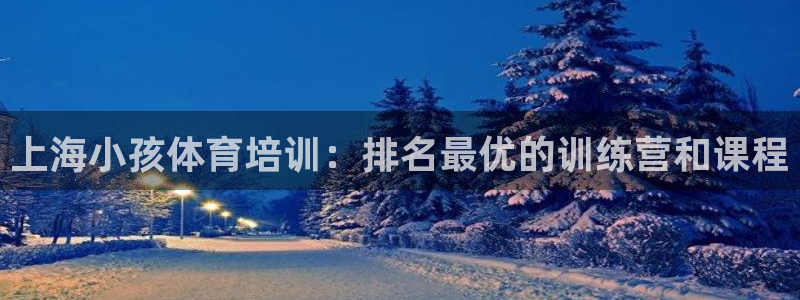 欧陆娱乐官方：上海小孩体育培训：排名最优的训练营和课
