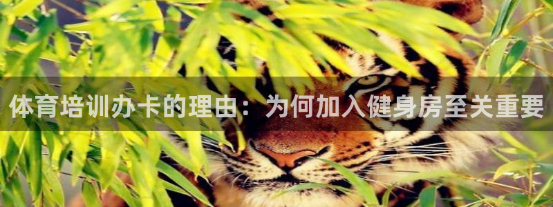 欧陆娱乐怎么注册帐号登录：体育培训办卡的理由：为何加