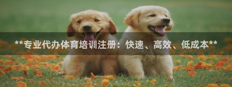 欧陆娱乐计划预测软件：**专业代办体育培训注册：快速