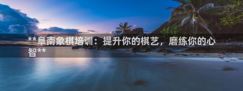 欧陆娱乐登录平台有哪些：**阜南象棋培训：提升你的棋