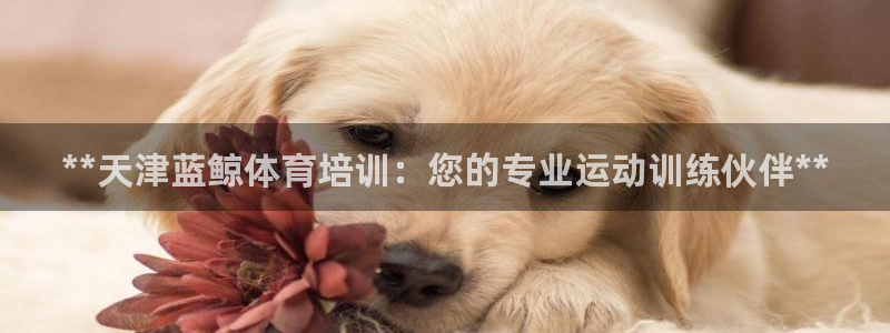 欧陆娱乐代理多少个点位啊