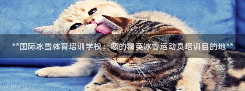 欧陆娱乐公司产品介绍怎么写