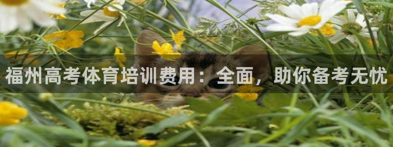欧陆娱乐测试