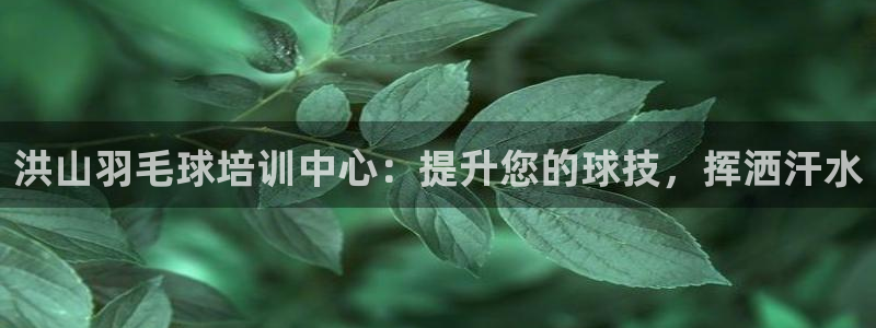 欧陆娱乐官网：洪山羽毛球培训中心：提升您的球技，挥洒