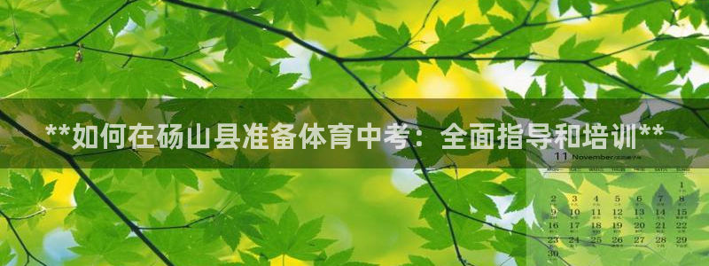欧陆娱乐太阳：**如何在砀山县准备体育中考：全面指导