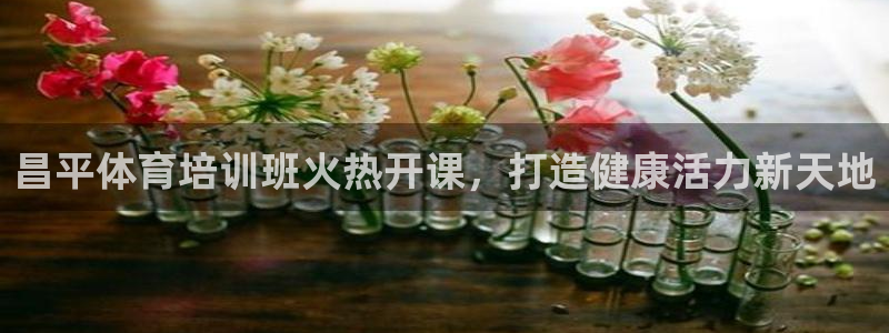 欧陆娱乐能不能玩手游：昌平体育培训班火热开课，打造健