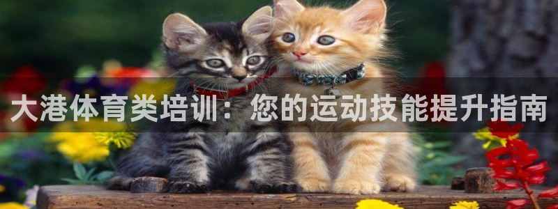 欧陆娱乐客服电话人工服务电话：大港体育类培训：您的运