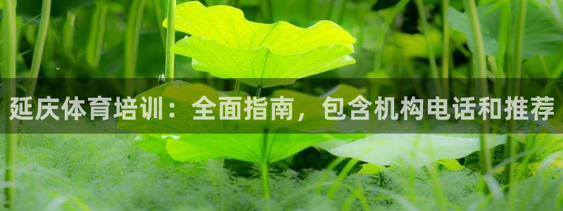 欧陆娱乐挂机怎么玩：延庆体育培训：全面指南，包含机构