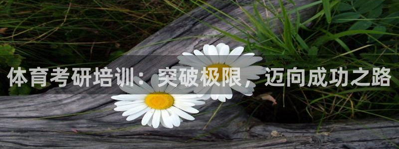 欧陆娱乐平台登陆地址：体育考研培训：突破极限，迈向成