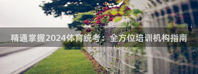 欧陆娱乐平台登录不上怎么回事：精通掌握2024体育统