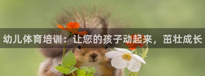 欧陆娱乐官网：幼儿体育培训：让您的孩子动起来，茁壮成