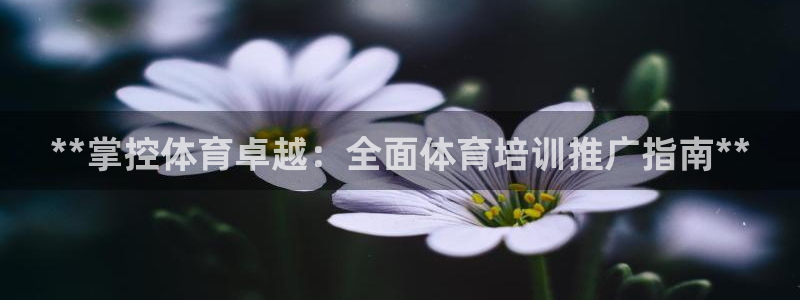 欧陆娱乐官网下载安装最新版本：**掌控体育卓越：全面