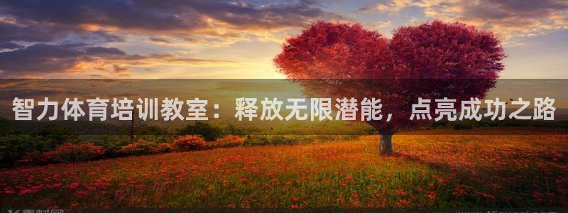 欧陆娱乐挂机项目：智力体育培训教室：释放无限潜能，点