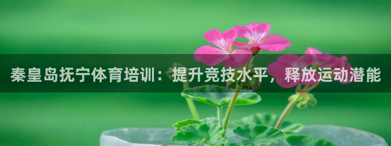 欧陆娱乐测试网站：秦皇岛抚宁体育培训：提升竞技水平，