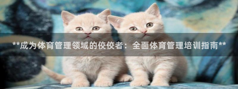欧陆娱乐的故事有哪些：**成为体育管理领域的佼佼者：