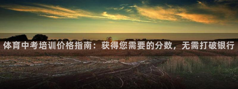 欧陆娱乐app下载：体育中考培训价格指南：获得您需要的分数，