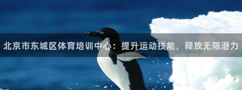 欧陆娱乐是资金盘吗：北京市东城区体育培训中心：提升运