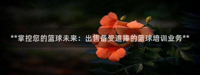 欧陆娱乐息7o777ts=0：**掌控您的篮球未来：