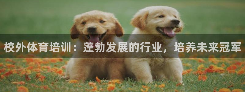 欧陆娱乐怎么注册账号啊