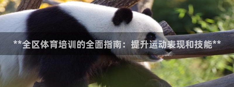 欧陆娱乐注册代理多少钱一个月：**全区体育培训的全面