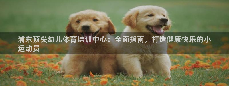 欧陆娱乐可以退钱吗安全吗：浦东顶尖幼儿体育培训中心：