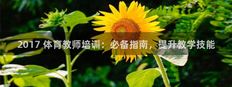 欧陆娱乐官方下载安装：2017 体育教师培训：必备指