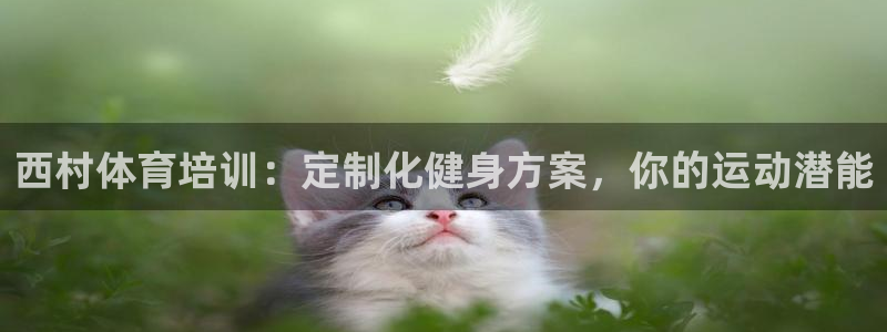 欧陆娱乐是正规平台吗安全吗知乎文章：西村体育培训：定
