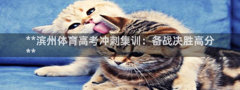 欧陆娱乐官方网站下载：**滨州体育高考冲刺集训：备战决胜高分