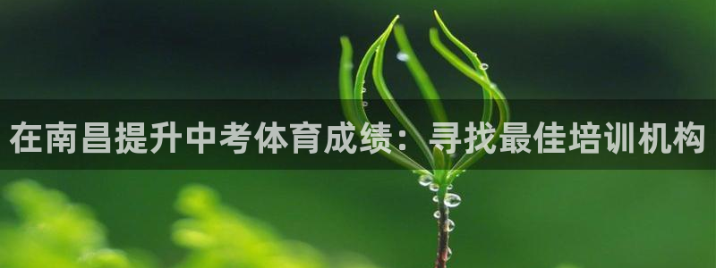 欧陆娱乐会员多少钱