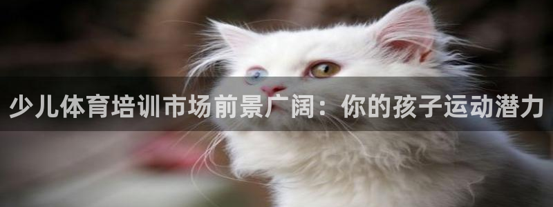 欧陆娱乐是正规平台吗安全吗可靠吗：少儿体育培训市场前