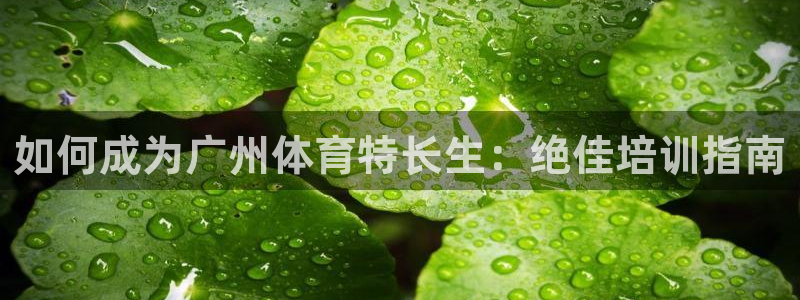 欧陆娱乐app攻略：如何成为广州体育特长生：绝佳培训