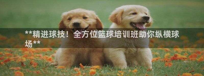 欧陆娱乐登录平台下载：**精进球技！全方位篮球培训班