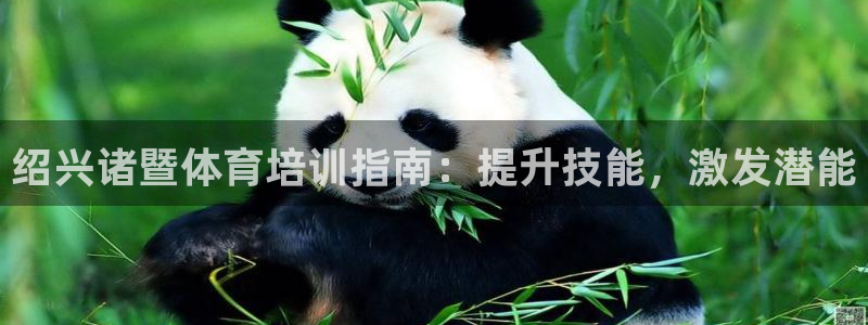 欧陆娱乐百科大全：绍兴诸暨体育培训指南：提升技能，激发潜能
