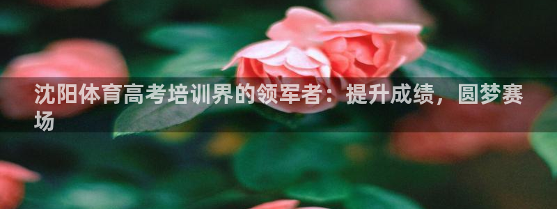 欧陆娱乐客服电话人工服务电话