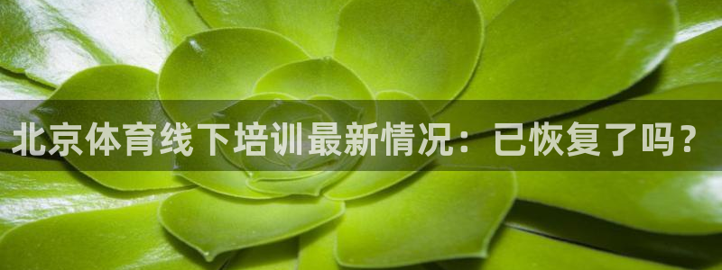 欧陆娱乐总代理电话：北京体育线下培训最新情况：已恢复了吗？