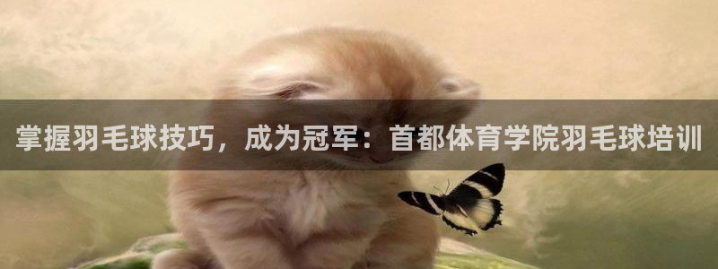 欧陆娱乐怎么注册会员账号：掌握羽毛球技巧，成为冠军：