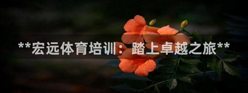 欧陆娱乐是正规平台吗安全吗可靠吗：**宏远体育培训：
