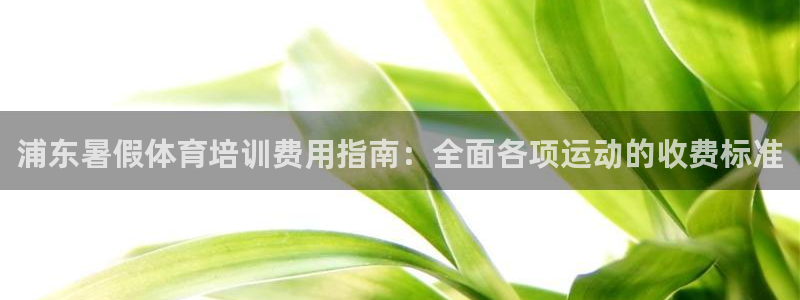 欧陆娱乐平台官网入口：浦东暑假体育培训费用指南：全面