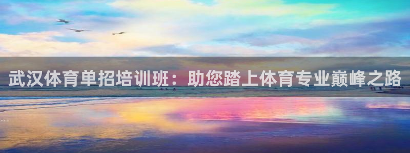 欧陆娱乐app打不开怎么回事：武汉体育单招培训班：助