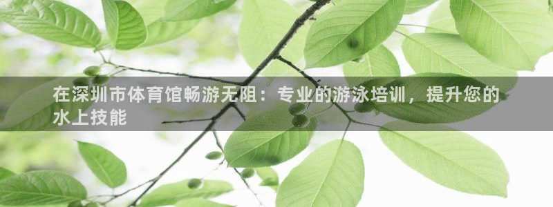 欧陆娱乐线路测速：在深圳市体育馆畅游无阻：专业的游泳培训，提