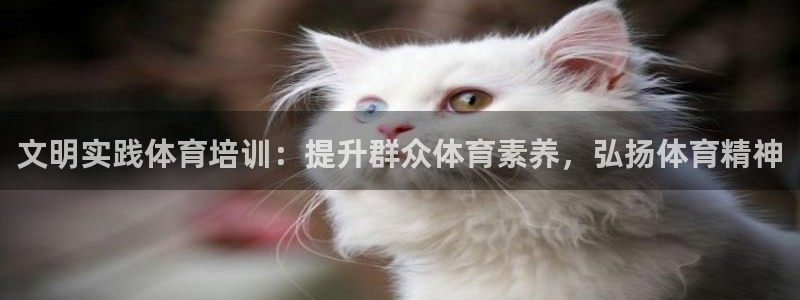 欧陆娱乐登录注册平台下载：文明实践体育培训：提升群众
