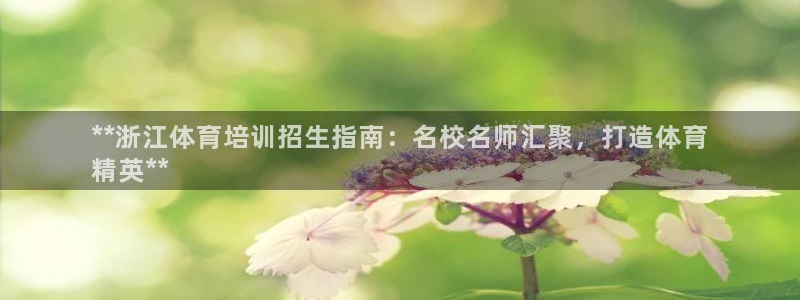 欧陆娱乐客服服务：**浙江体育培训招生指南：名校名师