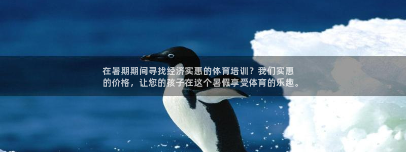 欧陆娱乐平台登录不上怎么回事：在暑期期间寻找经济实惠