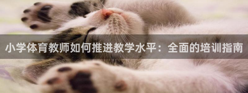 欧陆娱乐游戏：小学体育教师如何推进教学水平：全面的培