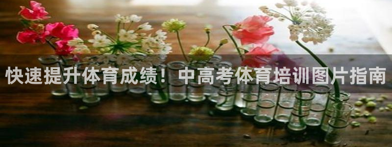 欧陆娱乐有限公司：快速提升体育成绩！中高考体育培训图