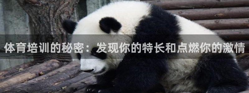 欧陆娱乐官方客服电话：体育培训的秘密：发现你的特长和